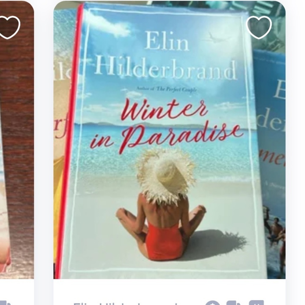 Winter in Paradise by Elin Hilderbrand Book